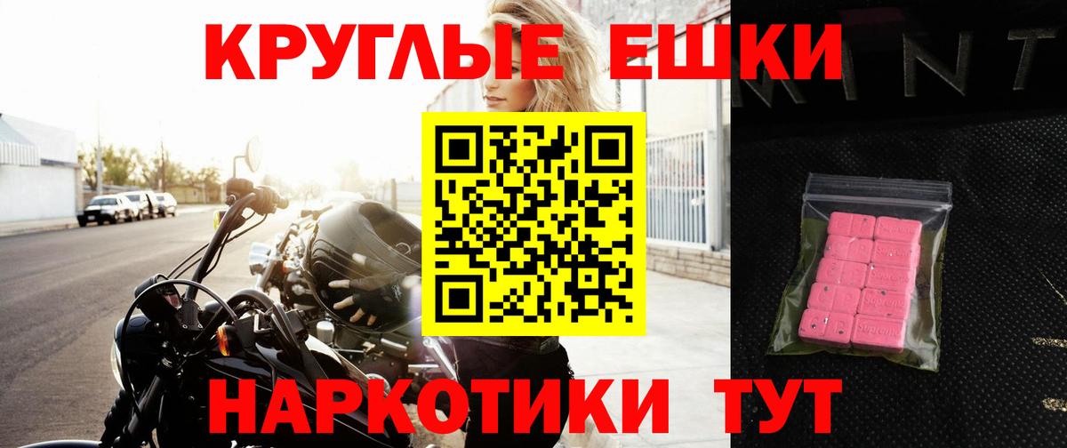 Ecstasy Punisher  Вход с VPN  Котлас  Экстази  ЭКСТАЗИ Philipp Plein 