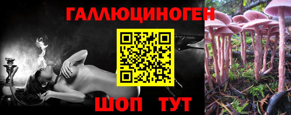 Псилоцибиновые грибы мицелий  Псилоцибиновые грибы ЛСД  Котлас  Вход с VPN 